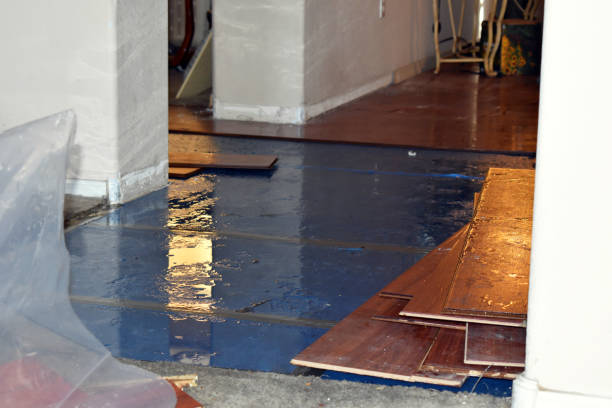 Professional Flood Damage Restoration technician working in Lyons, CO